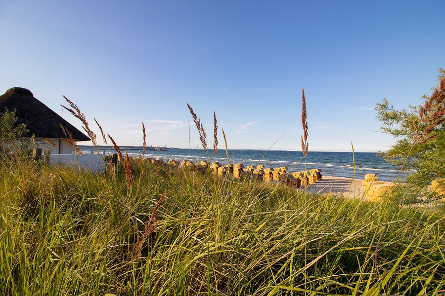 Vacation rental 